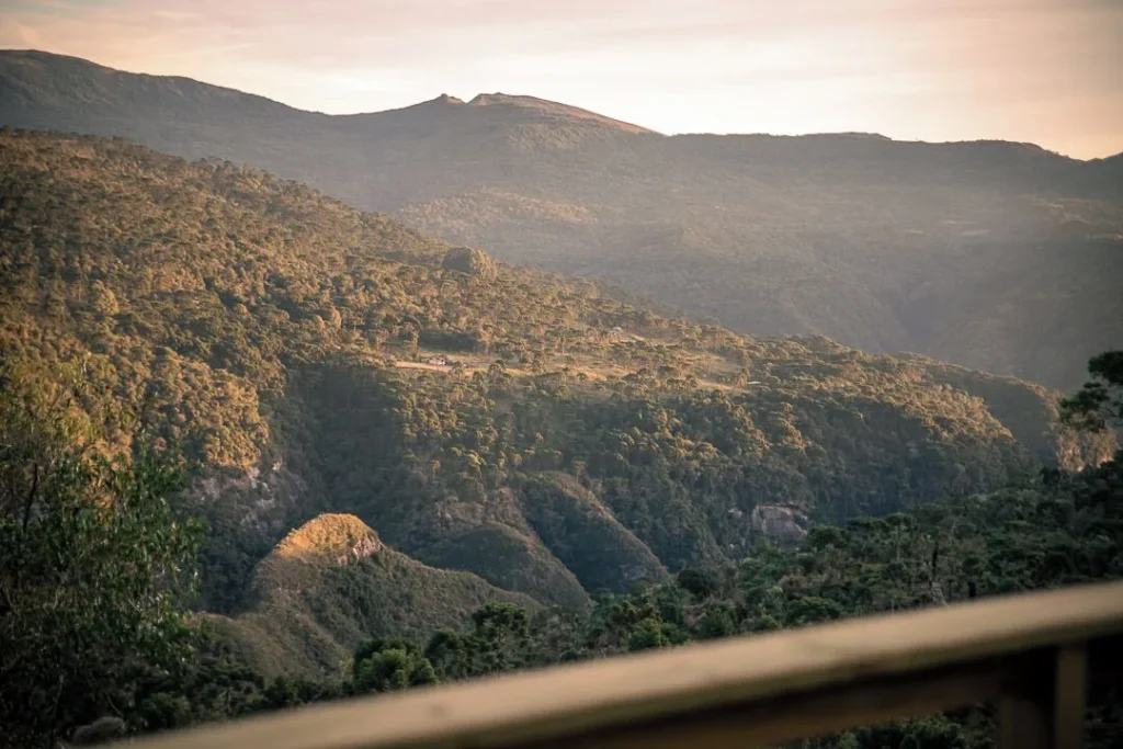 The Ultimate Guide to Treehouse & Elevated Cabin Stays Around the World a6c4b7b1