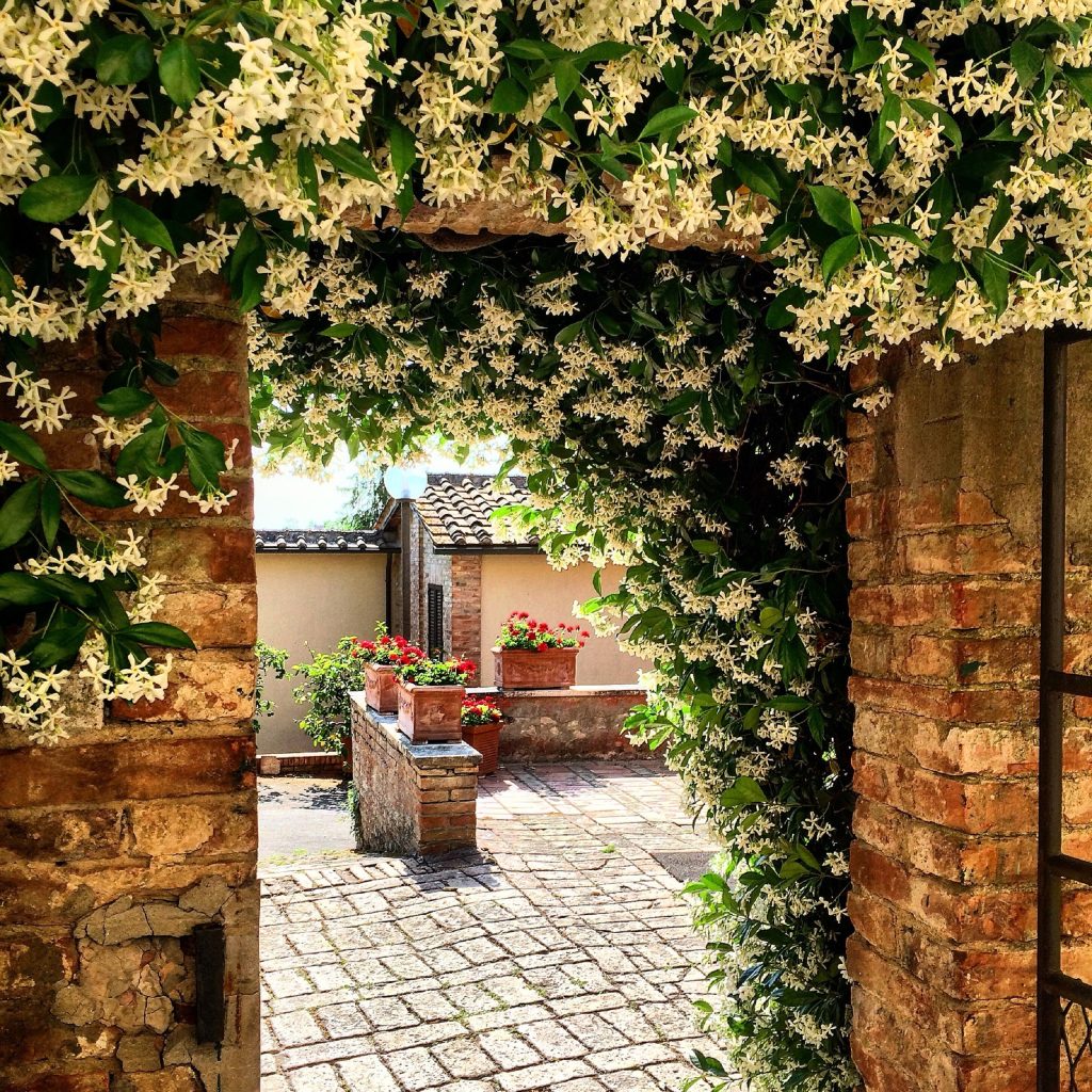 Hotel Santa Caterina_2