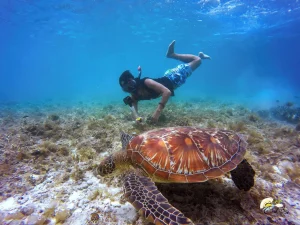 Coral Bay_2