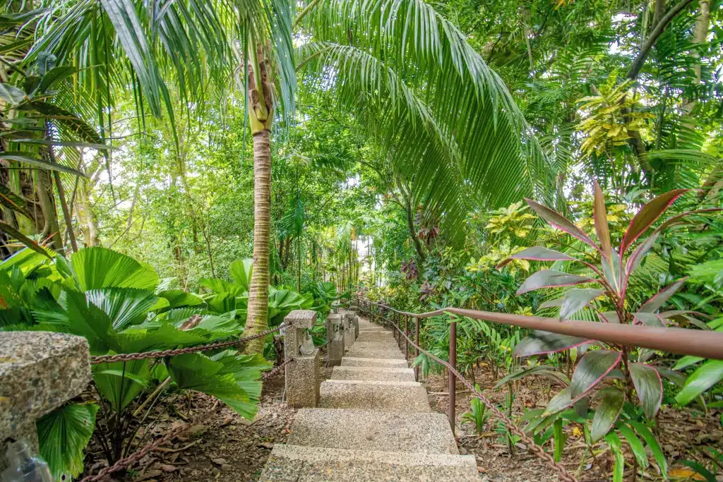 Jungle bungalow and forest paths at Hotel Costa Verde near Manuel Antonio National Park, Costa Rica