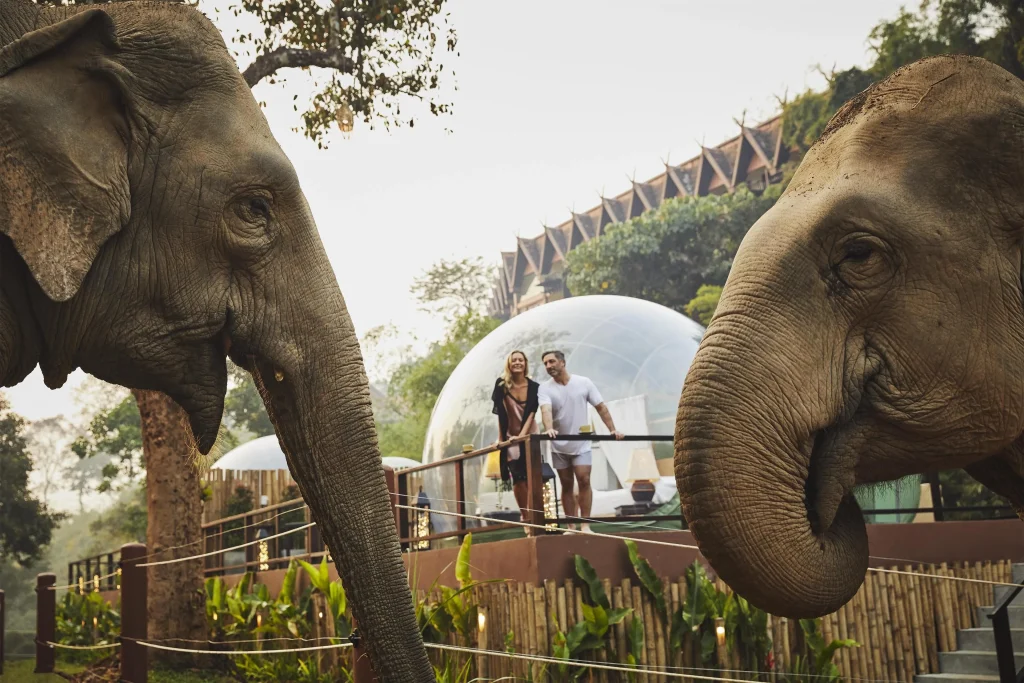 Anantara Golden Triangle: A Safari Lodge Built Into the Jungle
