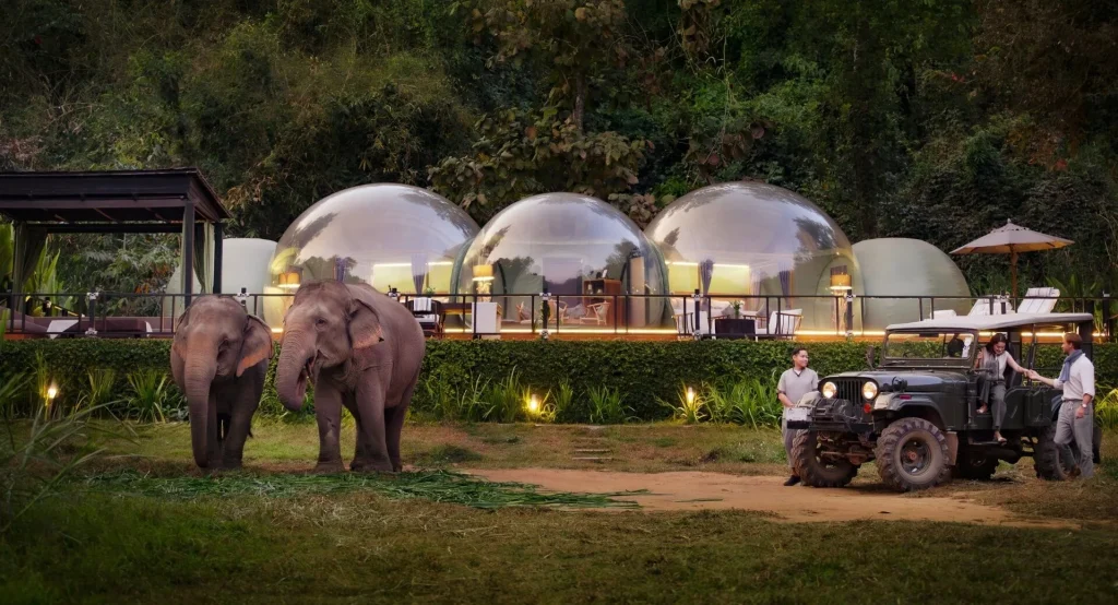 Anantara Golden Triangle Jungle Bubble suite transparent dome in forest canopy Thailand